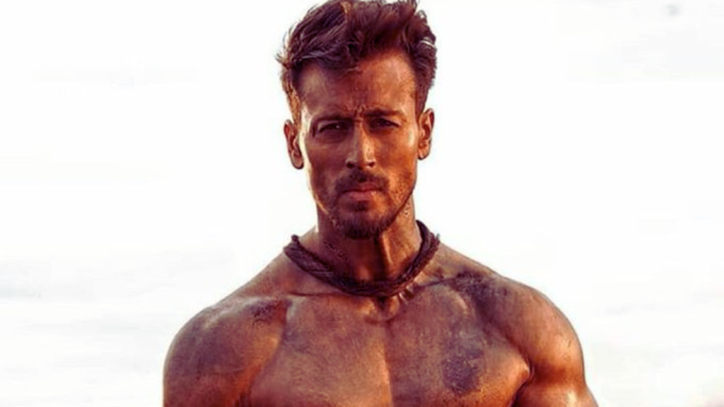 Baaghi 4, newspal